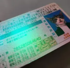 【希少】なめ猫 免許証 ニャン太郎 昭和56年 サンドホロ エンボス加工のサムネイル