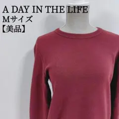 【美品】 アデイインザライフ 長袖 クルーネック 無地 ハイゲージニット M