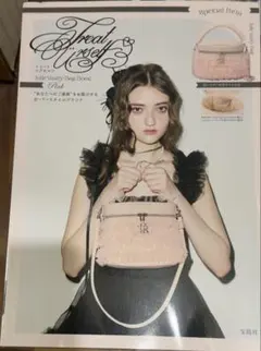 TreatUrselfトリートユアセルフムック本バニティバッグショルダー