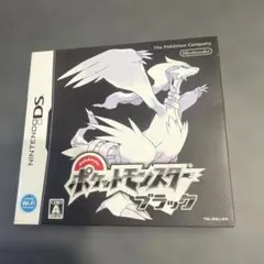 【箱あり】ポケットモンスター ブラック Nintendo DS 動作、初期化済み