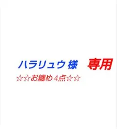 【 ハラリュウ 様 】 リクエスト 4点★まとめ商品★