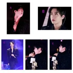 《JIN-14》BTS L版写真 ソクジン 5枚セット