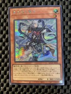 遊戯王 青き眼の賢士 シークレット QCCP