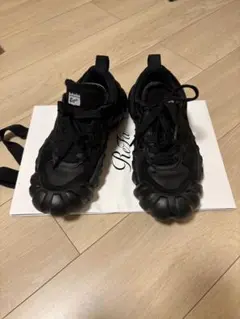 Onitsuka Tiger【DENTIGRE LS】