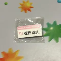 佐野雄大ネームプレート リストバンド 缶バッジ ラババン 7000円トレカ 2025年最新】Ini ネームプレート 佐野雄大の人気アイテム - メルカリ