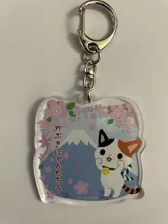 にょろとも様 リクエスト 2点 まとめ商品