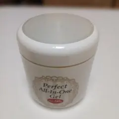 Perfect All-in-One Gel 240g