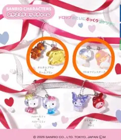 サンリオキャラクターズ なかよしドロップチャーム 2個セット♡