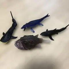 海洋生物フィギュア 4体セット