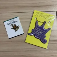 嵐　コンサートグッズ　チャーム　キーホルダー