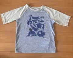 patagonia ベビーキャプリーン　3T