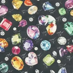 ■mingswim(ミンスイ)ジュエリーボックスꕤ︎︎ꕤ︎︎シーチング生地②