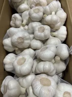 令和8年産 ホワイト六片 生にんにく 5kg - メルカリ