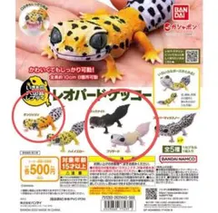 いきもの大図鑑レプティ　レオパードゲッコー