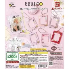 コンプ　たまひよ　たまごクラブひよこクラブのアクリルチャーム　全6種