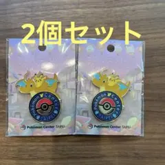 ポケモンセンター NAGOYA ピンズ 缶バッジ セット ポケセン 名古屋 う*に様 ポケモンセンター NAGOYA ピンズ 缶バッジ セット ポケセン 名