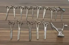 Item thumbnail for item 8b3a303b-8dea-4faf-a196-976406cc06a5