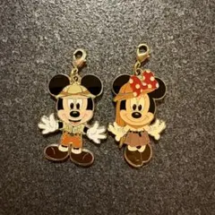 東京ディズニーランド チャーム ミッキー ミニー
