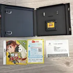 NintendoDSソフト 怪盗ルソー