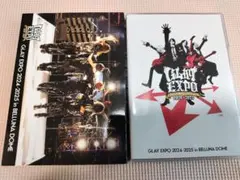 GLAY EXPO 本読みCD付きパンフレット 未開封 - メルカリ