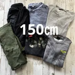 Item thumbnail for item 14200e94-f46e-4ef3-a374-44bb505e9ff9