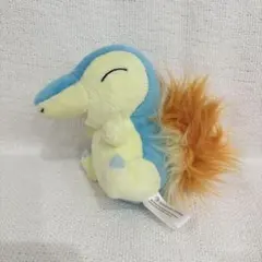 ポケモンセンター限定 オリジナル ヒノアラシ ポケモンキャンバス