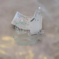 Item thumbnail for item 3e6fdc72-aacb-42b0-9284-727c31b9d00c