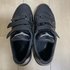 最終値下げ❣️⭐️ミズノ　野球トレーニングシューズ28㎝ 黒⭐️