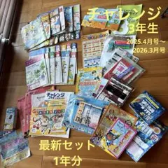 チャレンジ4年生 1年分と小5 4月分 13ヶ月分 - メルカリ