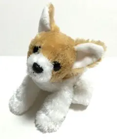 犬 ぬいぐるみ AQUA アニマル 動物 マスコット - メルカリ