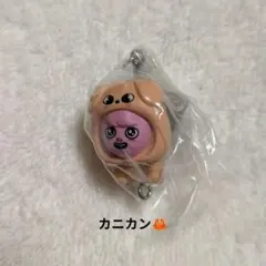 スキズ SKZOO ガチャ つまんでつなげてマスコット トェッキ チャンビン