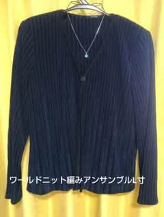 ネイビー ストライプ 長袖カーディガン半袖とのアンサンブルニット