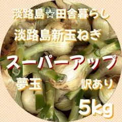 淡路島産新玉ねぎ 茎付き スーパーアップ 5kg 訳あり 有機肥料 夢玉
