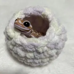 Item thumbnail for item 234451e4-3d2e-49b3-8da3-4aa505d8f9a7