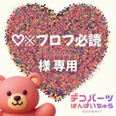 ♡※プロフ必読 様　専用ページ