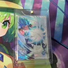 2026年最新】ドラゴンボールヒーローズ パラレルベジットの人気