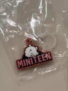 ミニティーン miniteen ウジ ビョプリ めじるし ガチャ