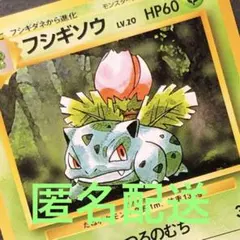 【旧裏】フシギソウLv20 ♦︎