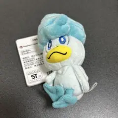 ポケモン クワッス ぬいぐるみ マスコット