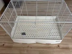 Item thumbnail for item fafcb8c5-65e8-41ee-8607-bdcfa33d789b