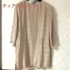 美品　ティアンエクート　プリーツ　横スリットブラウスのサムネイル