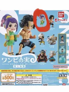 ワンピの実 おたま、バルトロメオ