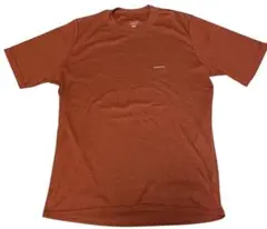 2000年代初期Patagonia キャプリーン Tシャツ M オレンジ系