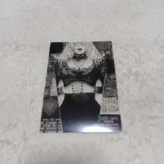 弥海砂　デスノート　クリアブロマイド　た