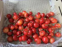 特別価格！さくらんぼ 訳あり 紅秀峰 箱込み600g以上のサムネイル