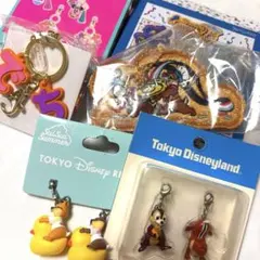 ディズニーリゾート購入　チデグッズまとめ売り