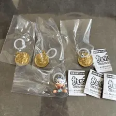 サルゲッチュ　めじるしアクセサリー