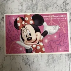 【ミニー】東京ディズニーランド 1デーパスポート 大人