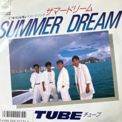 TUBE Summer Dream タンクトップ 2枚セット レア EP】07SH1903S TUBE サマードリーム□プロモ盤 - メルカリ