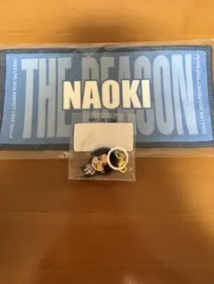 THE REASON カプセル 小林直己 - メルカリ